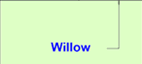 Willow