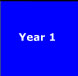 Year 1